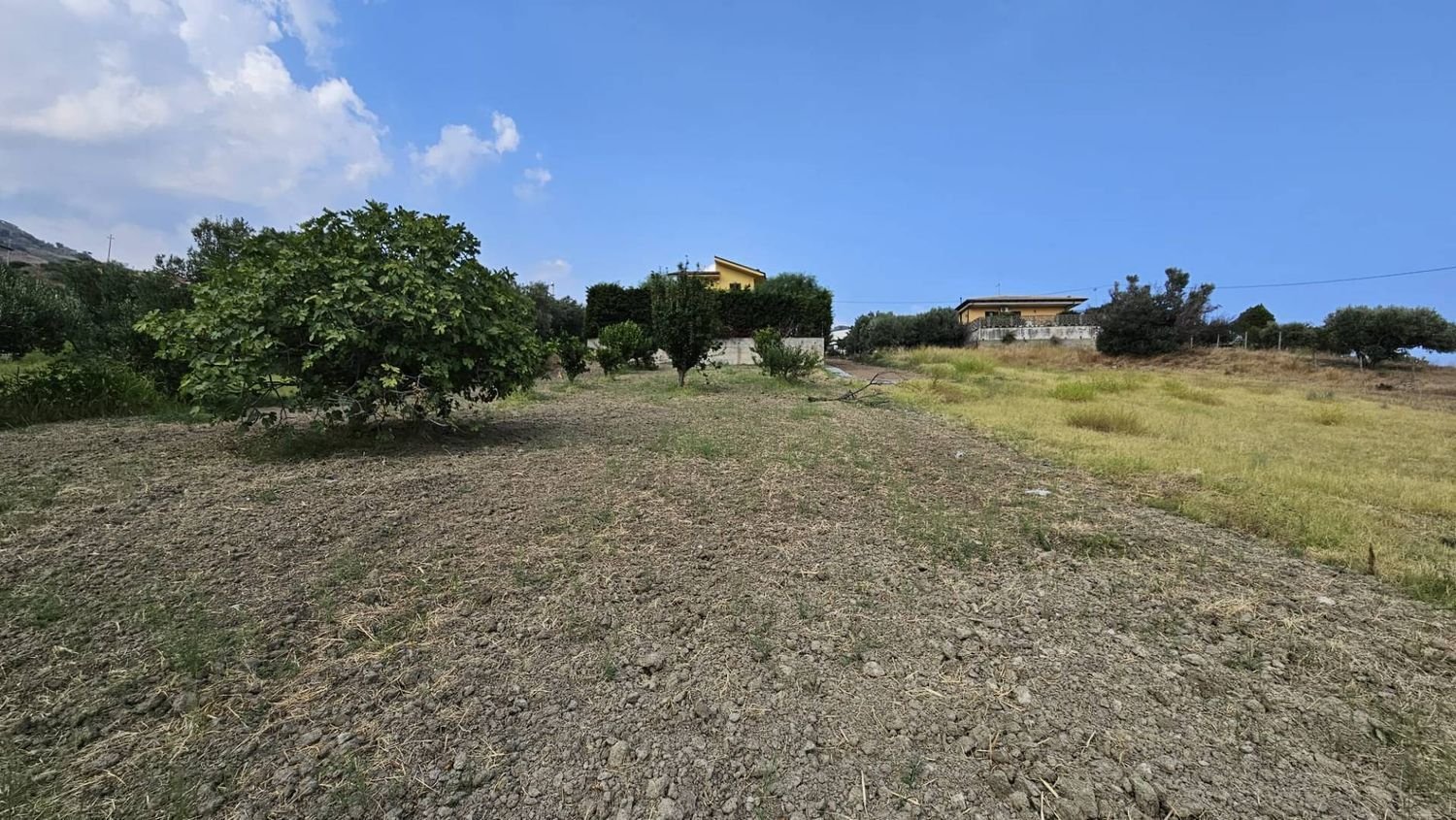 701m² Land in Gasperina, Italy No. 301705