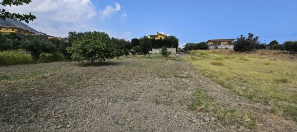 701m² Land in Gasperina, Italy No. 301705 4