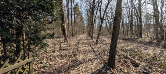 8غرفة تاون هاوس في Celle, Germany رقم 28056 8