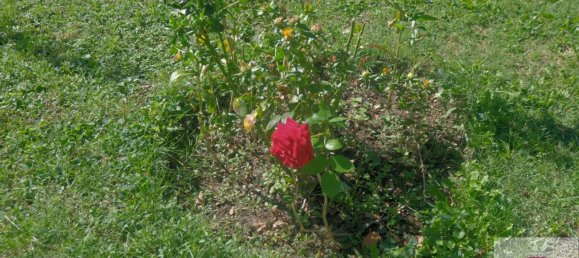 2 bedrooms Villa in Sassello, Italy No. 351185 12