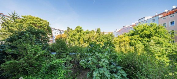 Studio in Simmering, Austria No. 240469 9