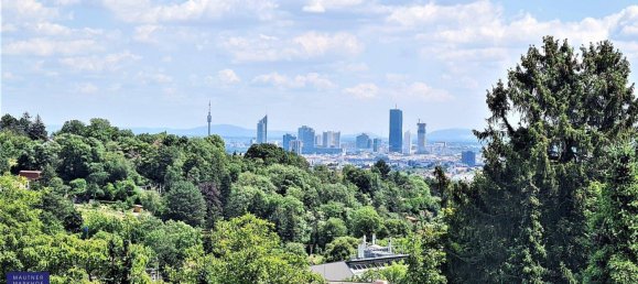 14 rooms House in Dobling, Austria No. 133575 4