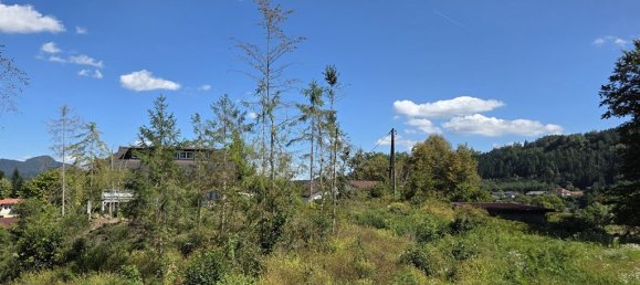 Terrain à Moosburg, Austria No. 239828 6