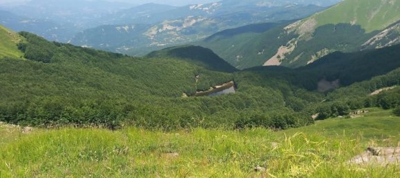 9 bedrooms House in Carrara, Italy No. 327396 7