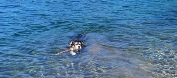 9 bedrooms House in Carrara, Italy No. 327396 14