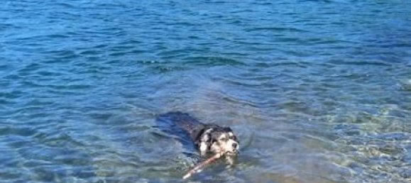 9 bedrooms House in Carrara, Italy No. 327396 15