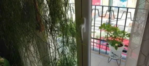 3 bedrooms Apartment in Logrono, Spain No. 145679 7