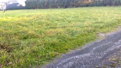  Land in Rosegg, Austria No. 255368