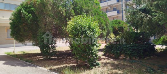 2 Schlafzimmer Wohnung in Foggia, Italy, Nr. 317477 3