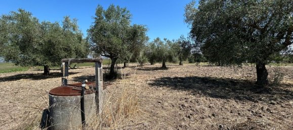 5 غرف نوم منزل في San Giorgio del Sannio, Italy رقم 333904 33