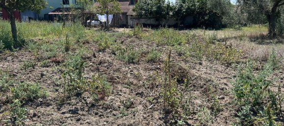 5 غرف نوم منزل في San Giorgio del Sannio, Italy رقم 333904 31