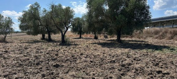 5 غرف نوم منزل في San Giorgio del Sannio, Italy رقم 333904 32