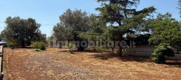 10 غرف نوم فيلا في Carovigno, Italy رقم 348135 6