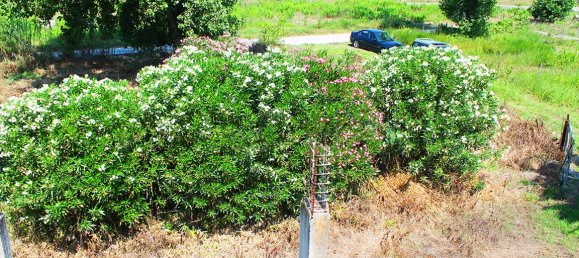 Hôtel à Corfu, Greece 3800m² No. 7665 14