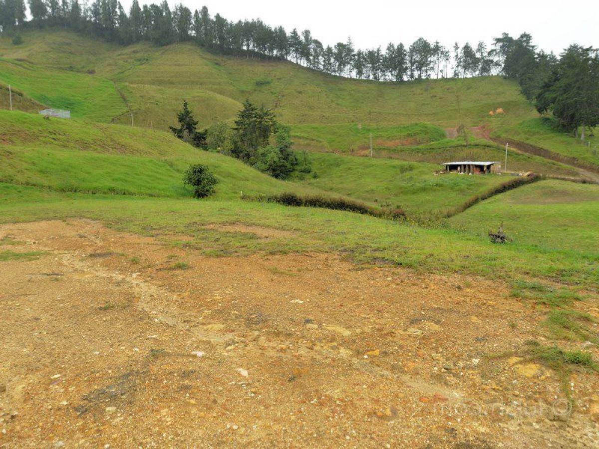  قطعة أرض في Antioquia, Colombia رقم 314