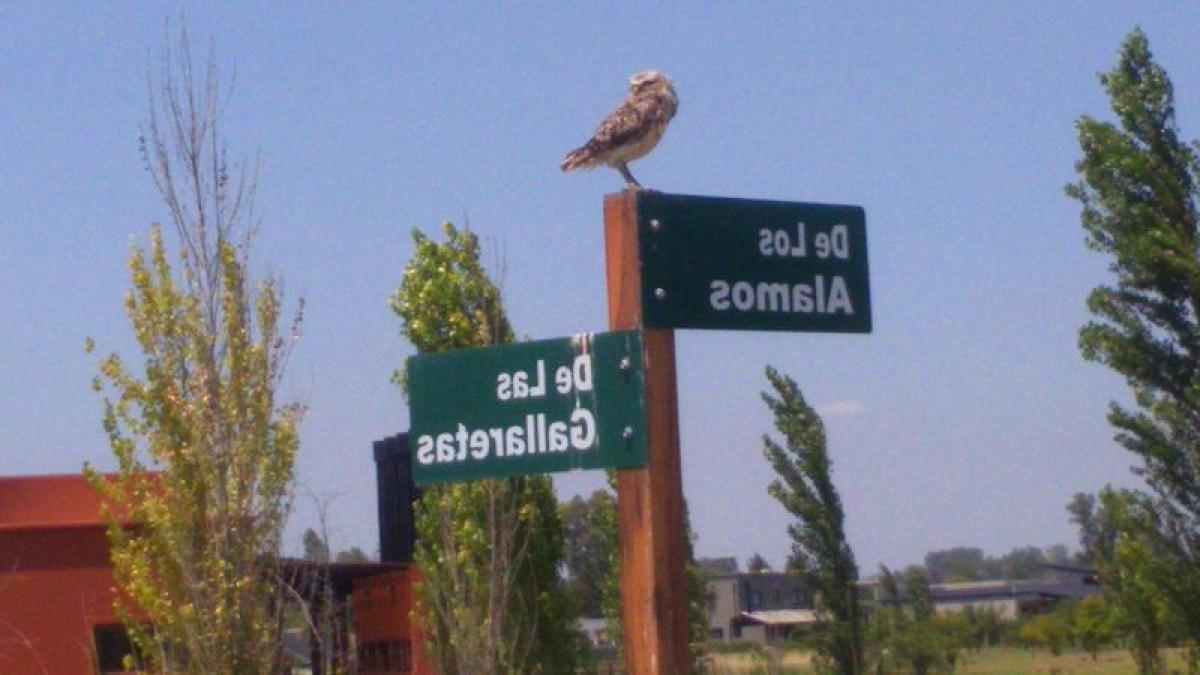  قطعة أرض في Campana, Argentina رقم 49317