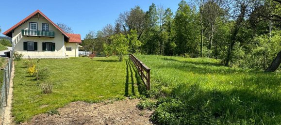 1 chambre Maison à Dechantskirchen, Austria No. 86518 16