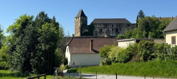 1 chambre Maison à Dechantskirchen, Austria No. 86518 24