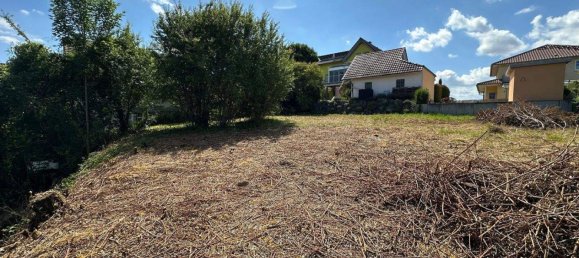 Grundstück in Ortenaukreis, Germany, Nr. 294594 7