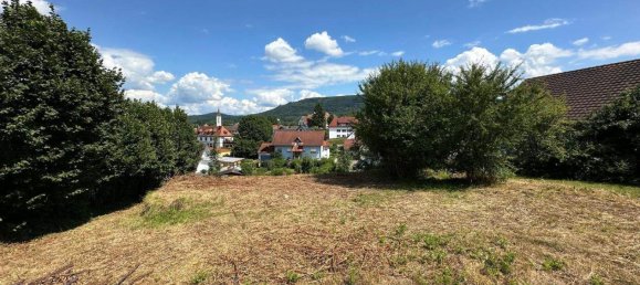 Grundstück in Ortenaukreis, Germany, Nr. 294594 3