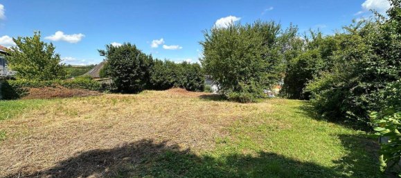 Grundstück in Ortenaukreis, Germany, Nr. 294594 6