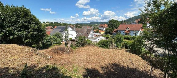 Grundstück in Ortenaukreis, Germany, Nr. 294594 2