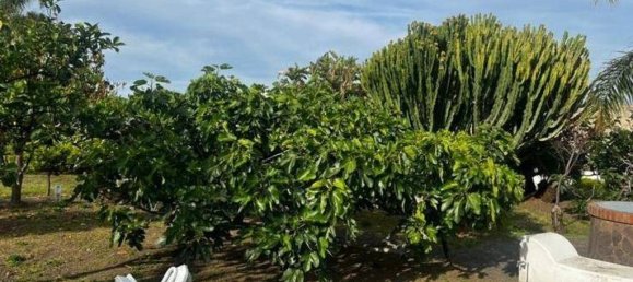 3 bedrooms Villa in Santa Marina Salina, Italy No. 334983 12