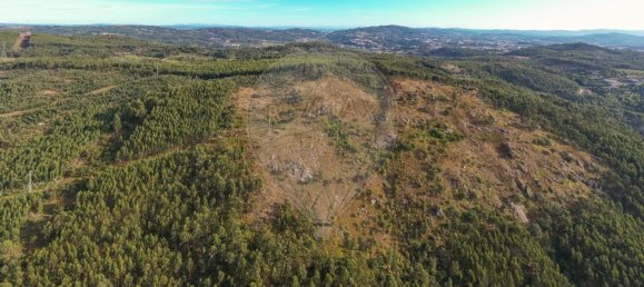 Terreno em Guimarães, Portugal 300000 m² N.º 31690 18