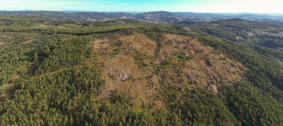 Terreno em Guimarães, Portugal 300000 m² N.º 31690 17