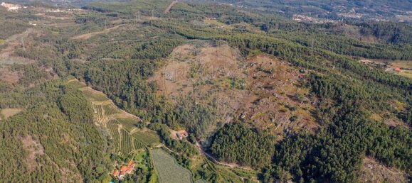 Terreno em Guimarães, Portugal 300000 m² N.º 31690 27