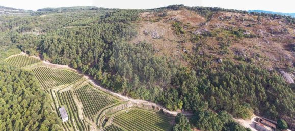 Terreno em Guimarães, Portugal 300000 m² N.º 31690 19
