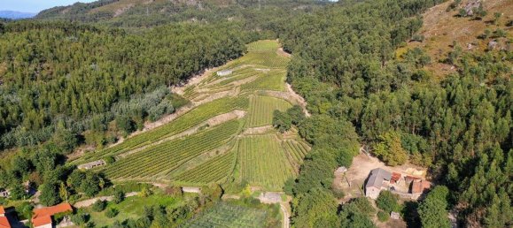 Terreno em Guimarães, Portugal 300000 m² N.º 31690 12