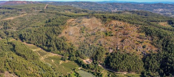 Terreno em Guimarães, Portugal 300000 m² N.º 31690 26