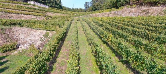 Terreno em Guimarães, Portugal 300000 m² N.º 31690 20