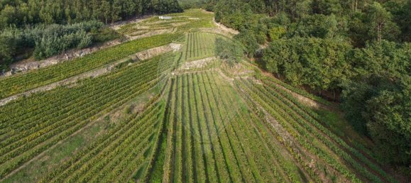 Terreno em Guimarães, Portugal 300000 m² N.º 31690 14