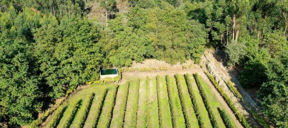 Terreno em Guimarães, Portugal 300000 m² N.º 31690 10