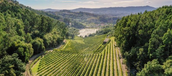 Terreno em Guimarães, Portugal 300000 m² N.º 31690 11