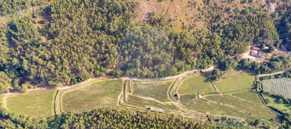 Terreno em Guimarães, Portugal 300000 m² N.º 31690 25