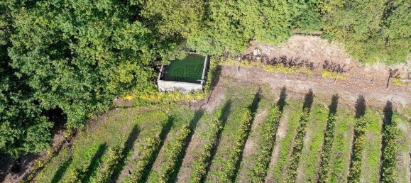 Terreno em Guimarães, Portugal 300000 m² N.º 31690 24
