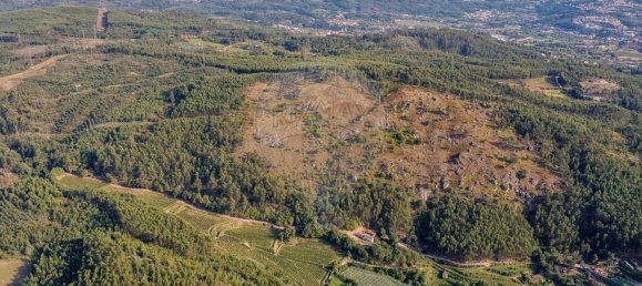 Terreno em Guimarães, Portugal 300000 m² N.º 31690 28