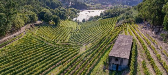 Terreno em Guimarães, Portugal 300000 m² N.º 31690 13