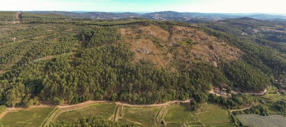 Terreno em Guimarães, Portugal 300000 m² N.º 31690 16