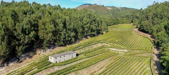 Terreno em Guimarães, Portugal 300000 m² N.º 31690 29