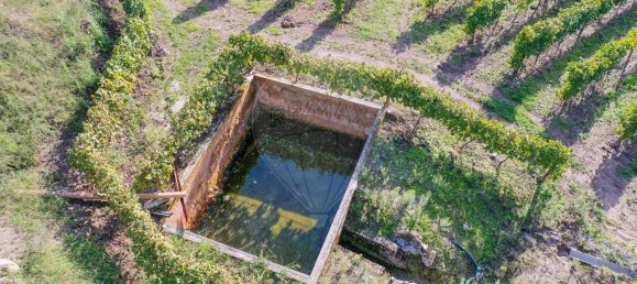 Terreno em Guimarães, Portugal 300000 m² N.º 31690 31
