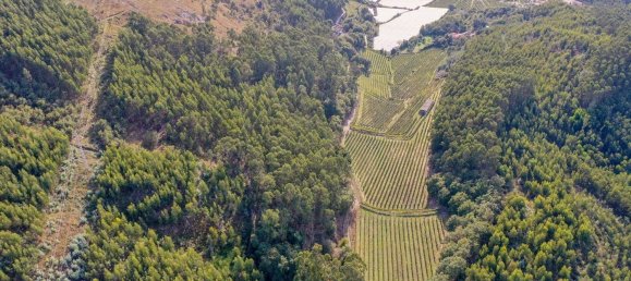 Terreno em Guimarães, Portugal 300000 m² N.º 31690 23