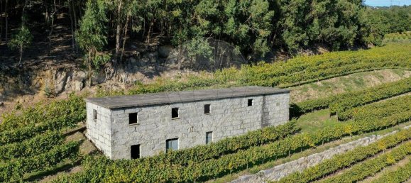 Terreno em Guimarães, Portugal 300000 m² N.º 31690 15