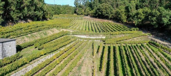 Terreno em Guimarães, Portugal 300000 m² N.º 31690 9