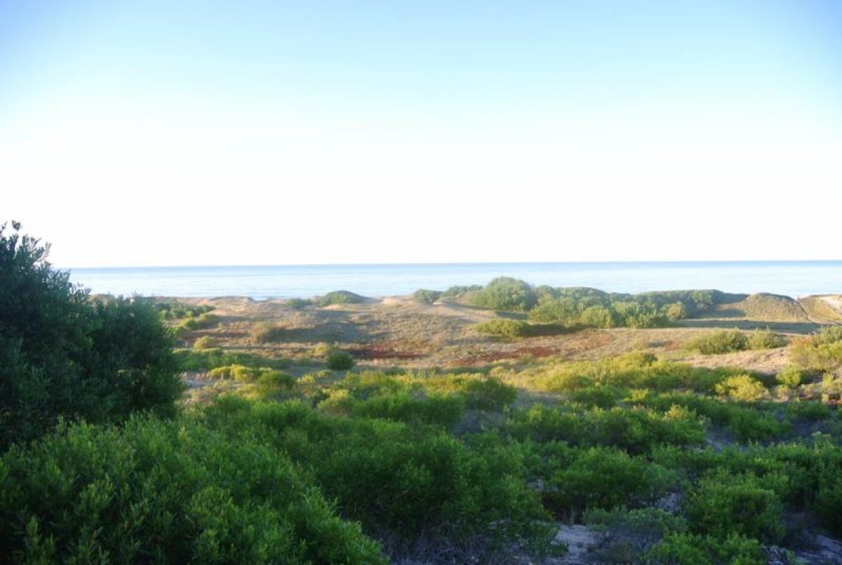  Land in Maldonado, Uruguay No. 15838