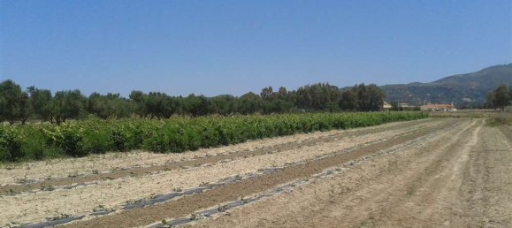 terreno en venta en Zakynthos, Ionian Islands, Peloponnese, Western Greece and the Ionian, Greece № 831 4