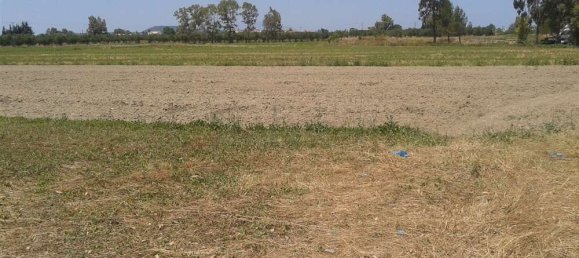  Hotel in Zakynthos, Greece No. 831 9